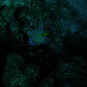 IMG 0119