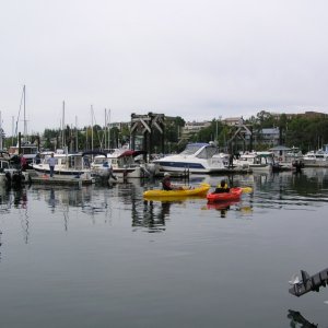 Media 'Friday Harbor 2010 004' in album 'Friday Harbor 2010 001'