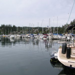 Media 'All of "H" dock full of C-Brats' in album 'Friday Harbor 2010 001'