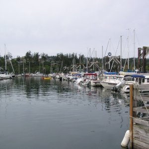 Media 'Friday Harbor 2010 007' in album 'Friday Harbor 2010 001'