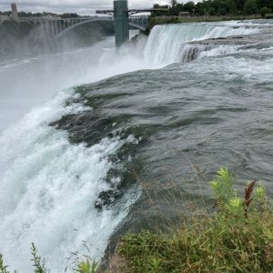 IMG 4449