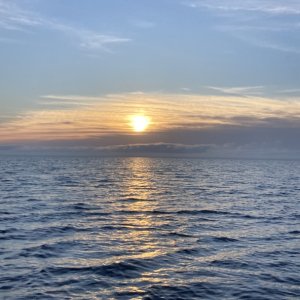 IMG 5821