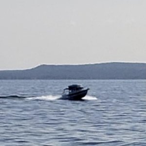 IMG 6005