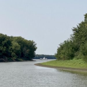 IMG 7071