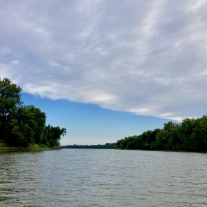 IMG 7208