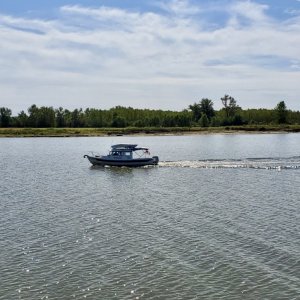 IMG 7250