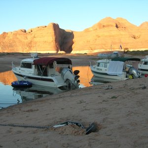 DSCN3365