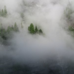 Mist, fog, clouds and trees all mixed together on the walls of Princes Louisa inlet.  PLI-08