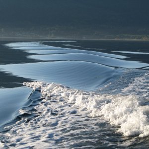 WAKE IN THE SUN.  (Look at this one full size to see the nuances of the light on the water.  hh)