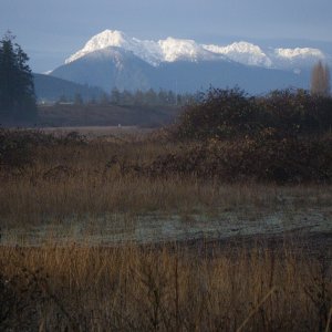 Hurricane Ridge,Port Angeles WA, aftger a new snow, viewed from Sequim, about 18 miles, and the is about as close as I like to be to a hurricaine