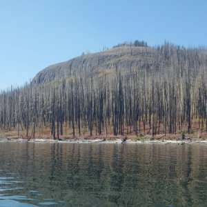 Fire 24 yrs ago