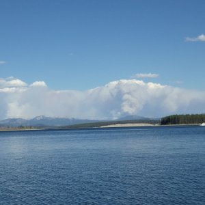 The fires!
