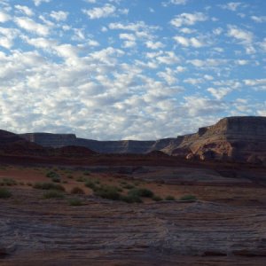 IMGP0919