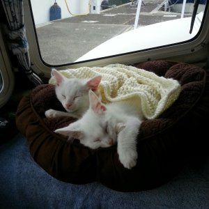 Tuckered crew