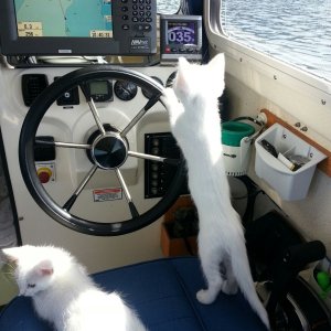 New Crew
