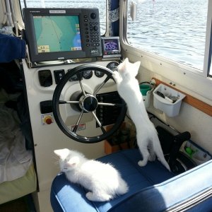 Skipper Chanelle and First Mate Charlie