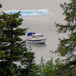 Media 'Coho at anchor at Growler Island.' in album 'Coho at anchor at Growler Island.'