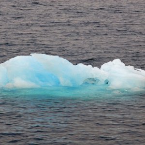Media 'Columbia Glacier growler.' in album 'Coho at anchor at Growler Island.'