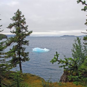Media 'Looking towards Columbia Glacier from Growler Island.' in album 'Coho at anchor at Growler Island.'