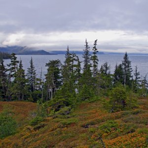 Media 'Late September colors on Growler Island.  Winter is around the corner.' in album 'Coho at anchor at Growler Island.'