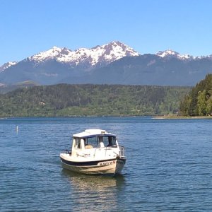 Media 'Coming in to our local boat launch.' in album 'Coming in to our local boat launch.'