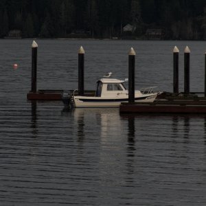 Media 'My first guest is on board.' in album 'Coming in to our local boat launch.'
