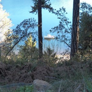 Media 'Limpet on her mooring.' in album 'Coming in to our local boat launch.'
