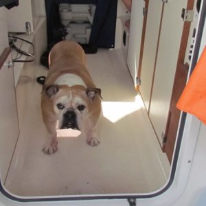 Captain Lucy




Captain Lucy