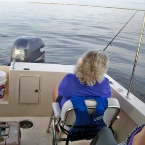 Media 'BrentB  I am C Brats forum member and tip jar contributor. Yamaha F225' in album 'BrentB 94 parker 2320 open back and extended cabin'