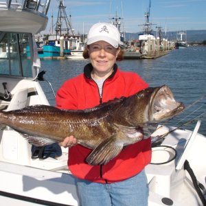 Media 'Ling cod and the old Reef Madness (the boat not the angler)' in album 'Ling cod and the old Reef Madness (the boat not the angler)'