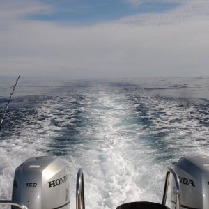 Great conditions for a 40nm run offshore