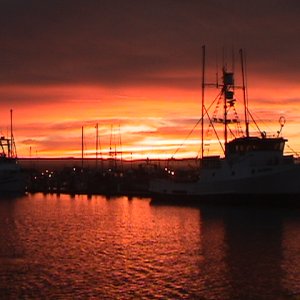 Early Morning Tuna Trip 2006