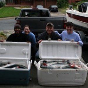 2 hours and a few bruised limbs later we had the priviledge of hiking through brown bear country with 100 lbs of fish. Cleaned on the boat ride home.