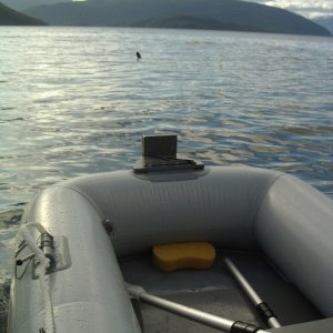 New dinghy - Achilles donut, with motor mount