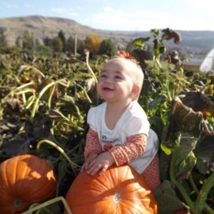 Media 'Harper Loves Those Pumpkins' in album 'fs 757605'