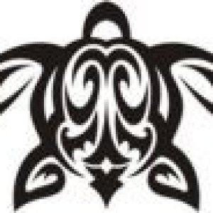 Media 'Honu's logo.  A traditional Hawaiian rendering of the sea turtle.' in album 'Honu's logo.  A traditional Hawaiian rendering of the sea turtle.'