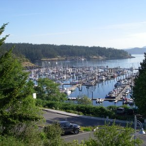 C-Dory gathering is a long walk to the left side of the marina