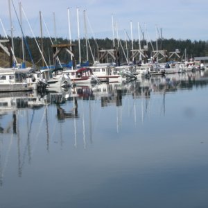 May 16 Friday Harbor 
    Before noon
