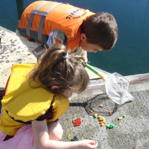 Sorting out the bait