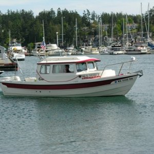 Sea Shift Arrives