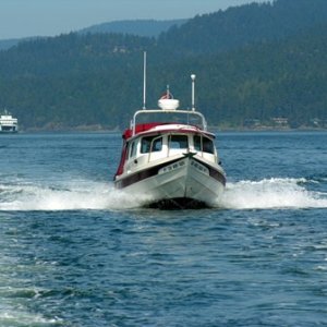 Kingfisher headed for Cornet Bay