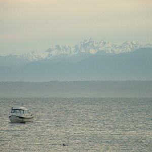 Olympic Mtns from Mutiny Bay, WA