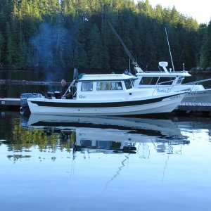 Critter Cove BC