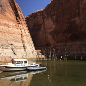 Looking down Iceburg Canyon.  Tough to get through the shallow water & cotton woods to shore