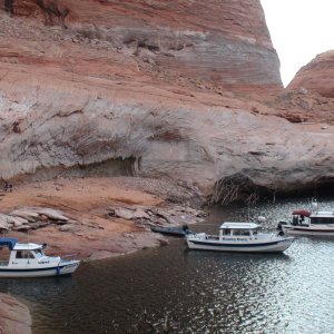 Media 'Forgotton Canyon' in album 'Head of Iceburg Canyon looking up canyon'