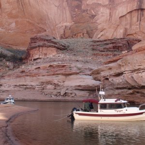 Media 'Ceder Canyon' in album 'Head of Iceburg Canyon looking up canyon'