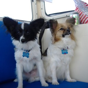 We love this boating stuff