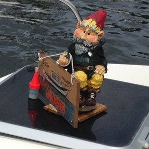 Media 'In Cahoots mascot' in album 'Arrival at Pender Harbour'