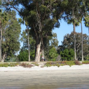 anchored off the Coronado Golf club