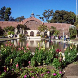 Balboa Park atrium holding unbelievable variety of plants San Diego